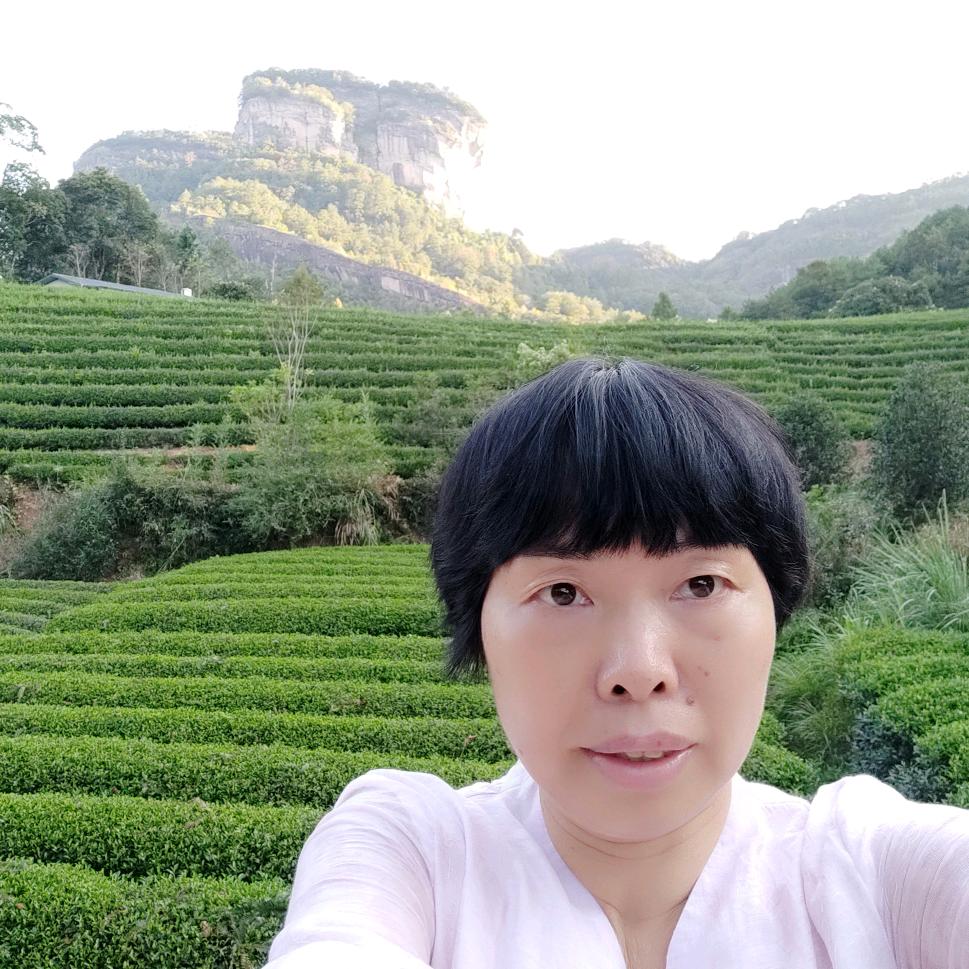 武夷山顺牵茶人