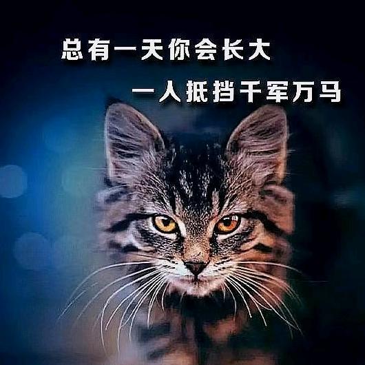 欧亿家居