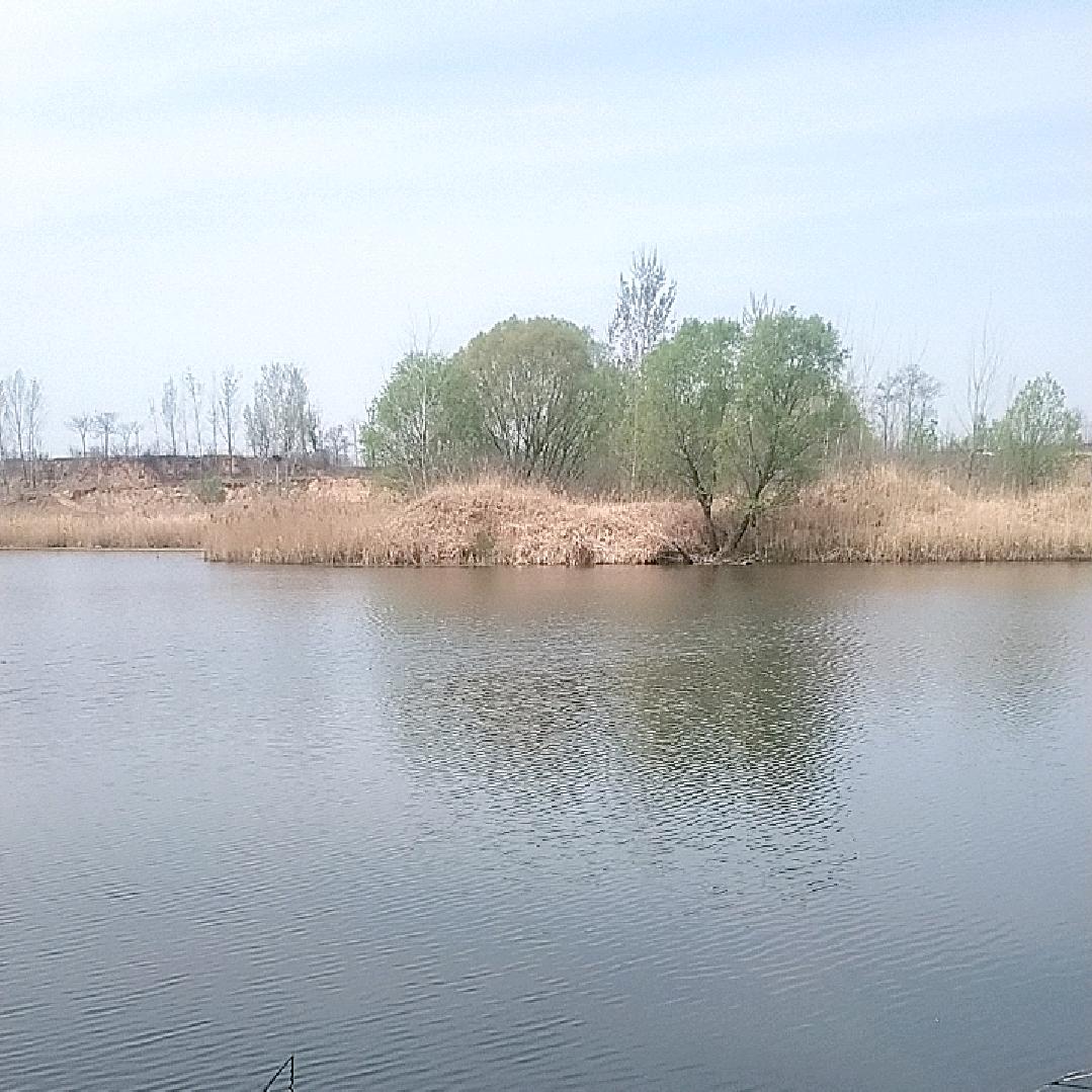 悠溪江湖