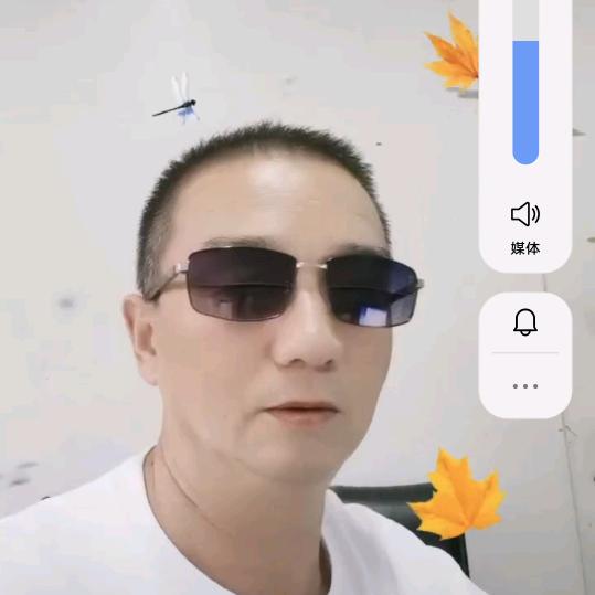 风雪中的青松
