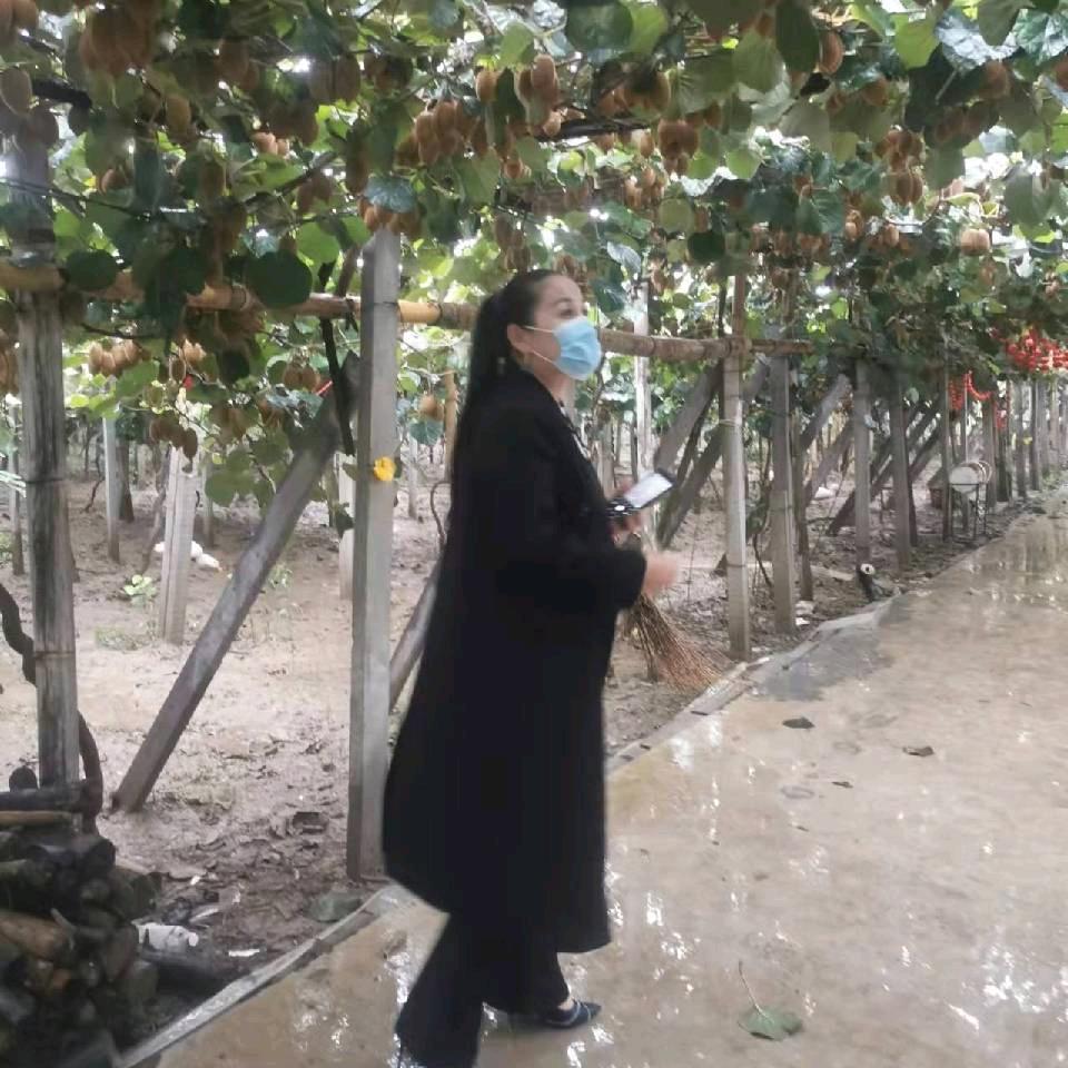 虞城《傻丫头》🌹