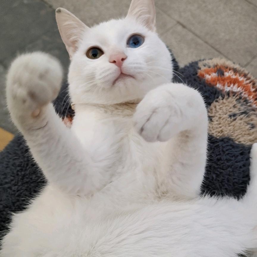 李墨笙