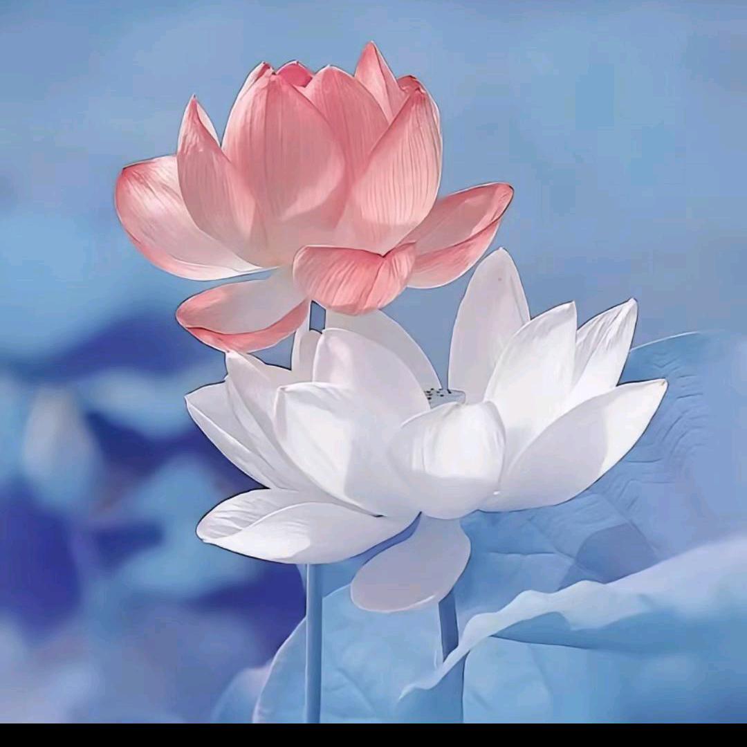 春秋