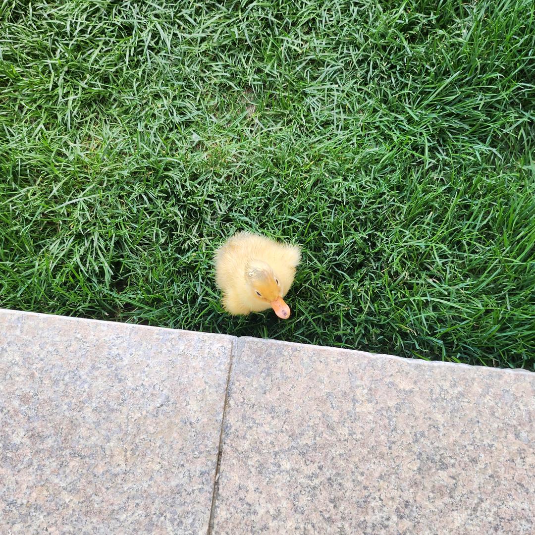 快乐小灯灯