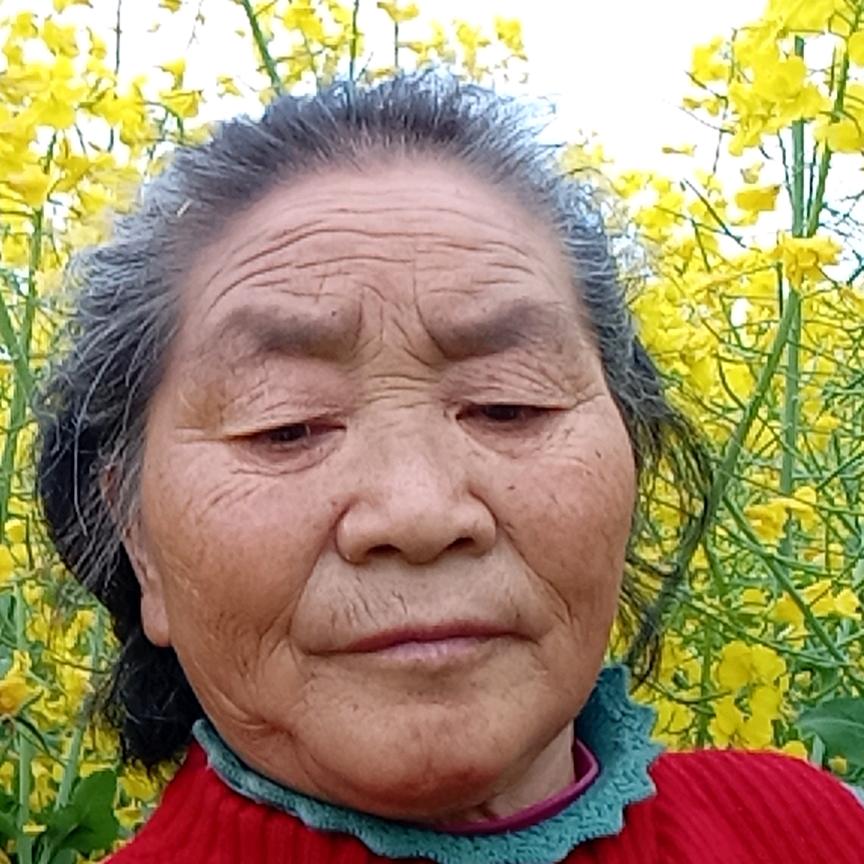舒大姐