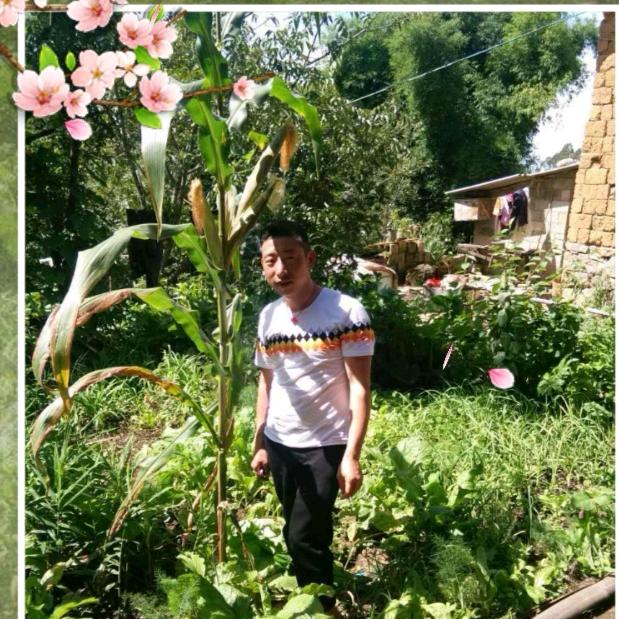 专业混凝土。西山搅板哥