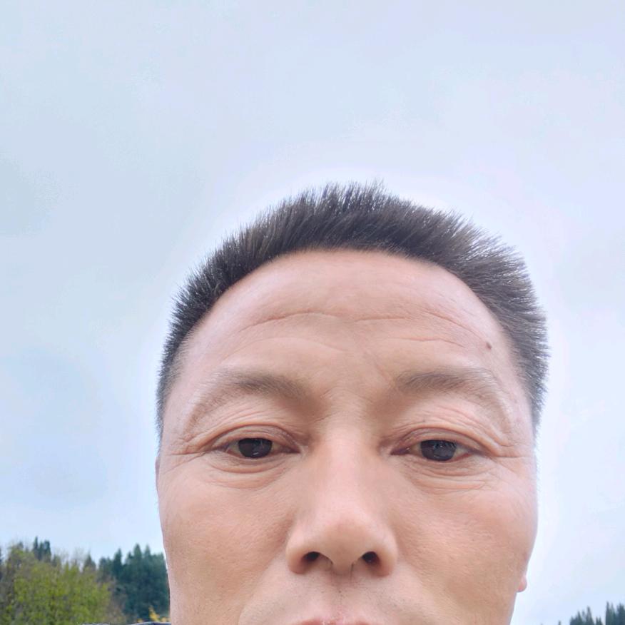 愉乐天心 林