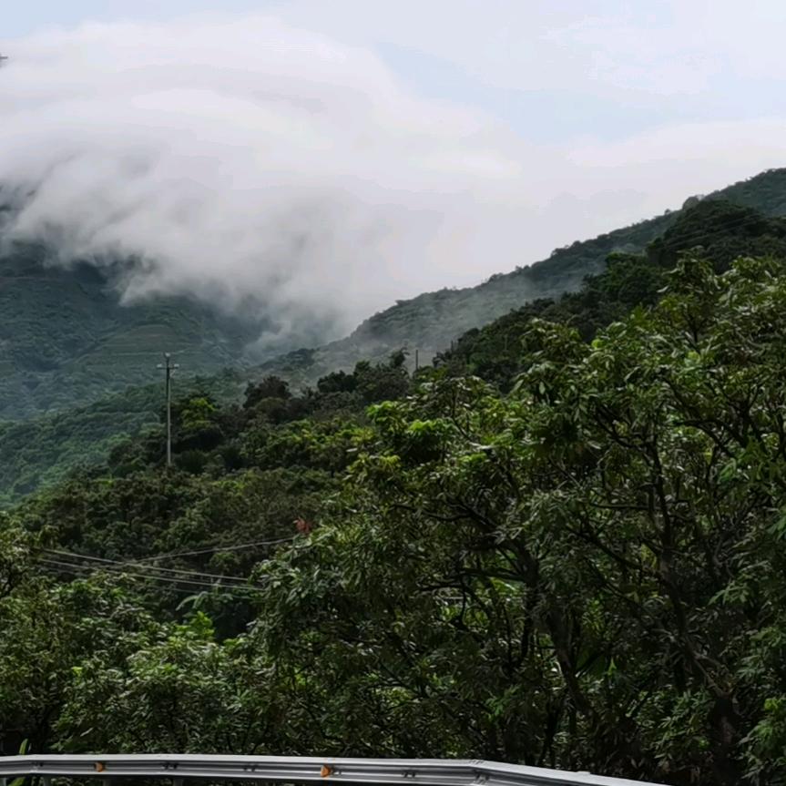 山鸟与鱼不同路💔