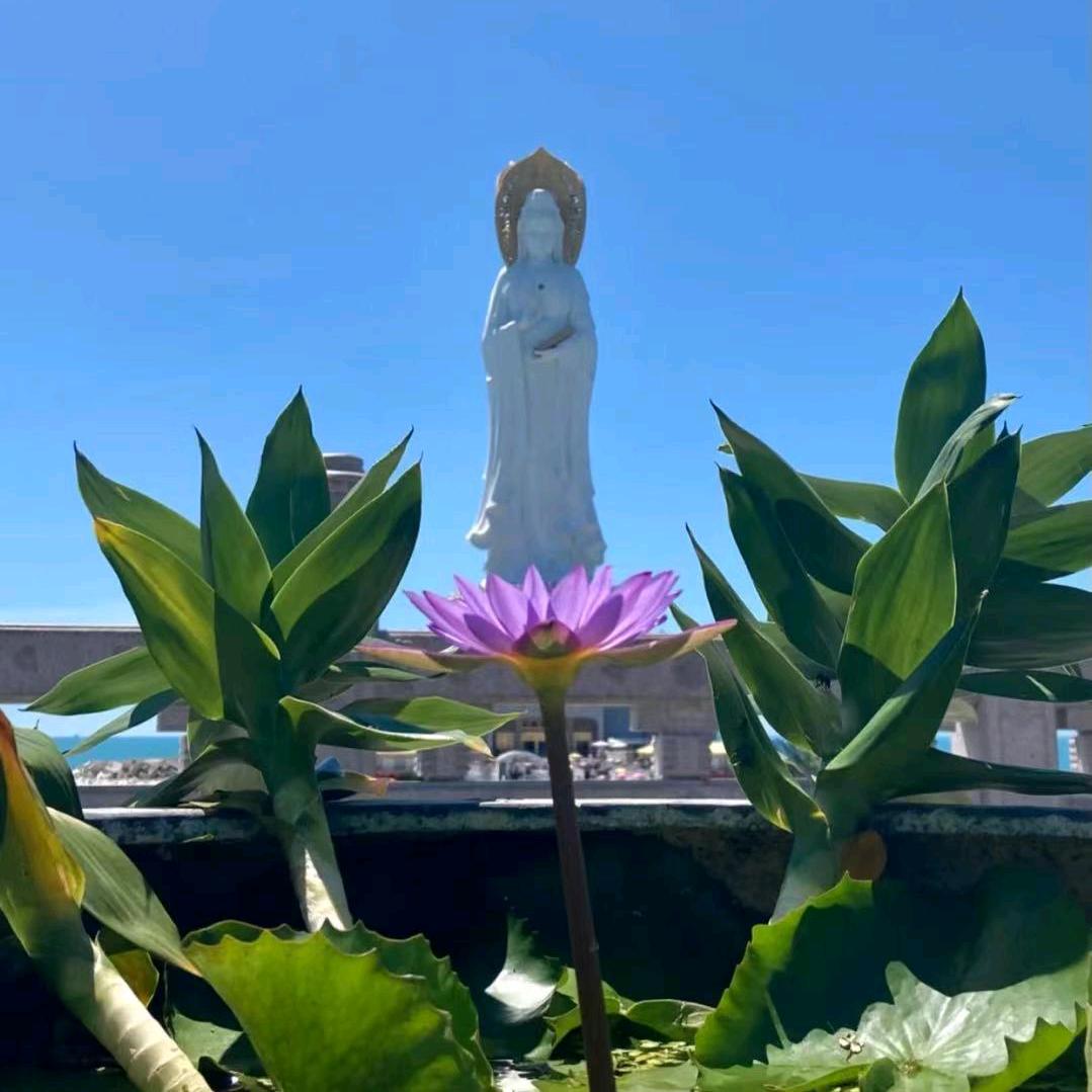 云水禅心。