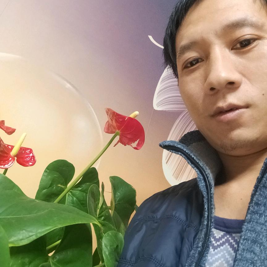 晓峡邑波波