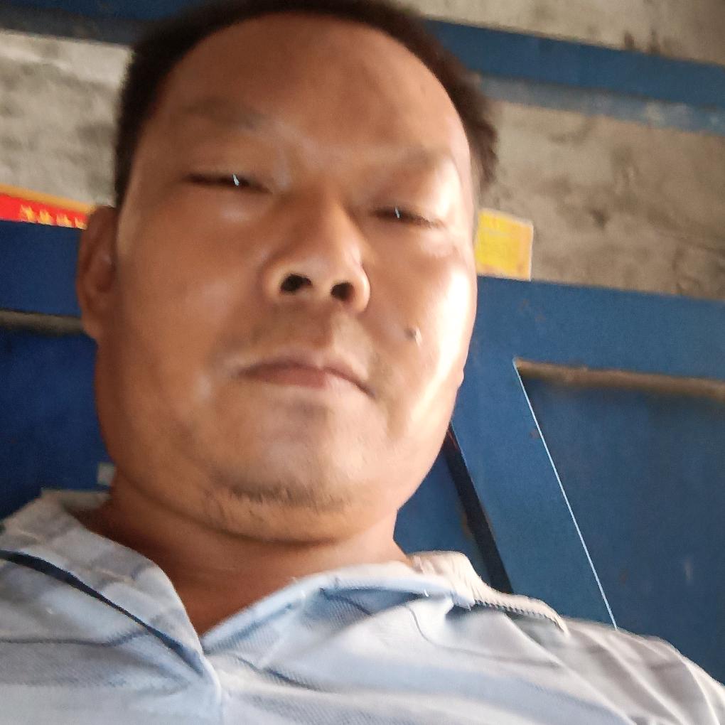 远走高飞