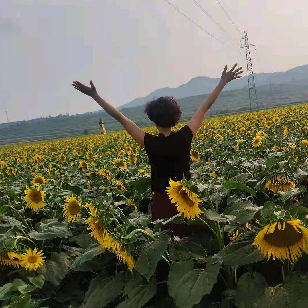 简