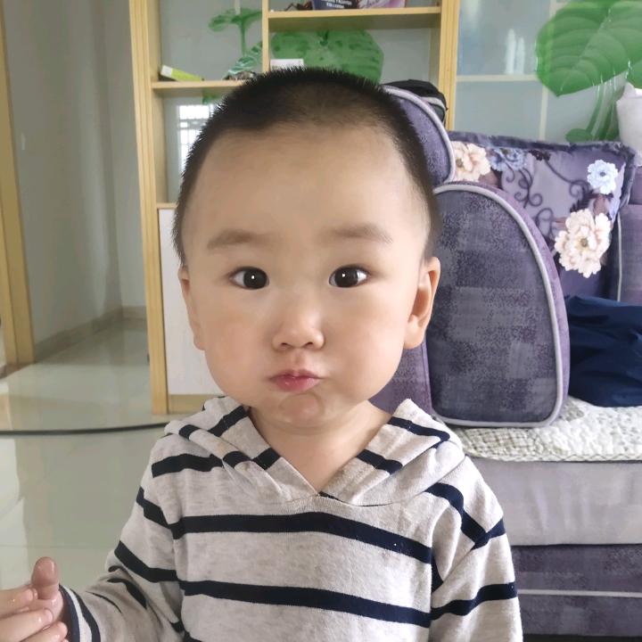 蚂蚁