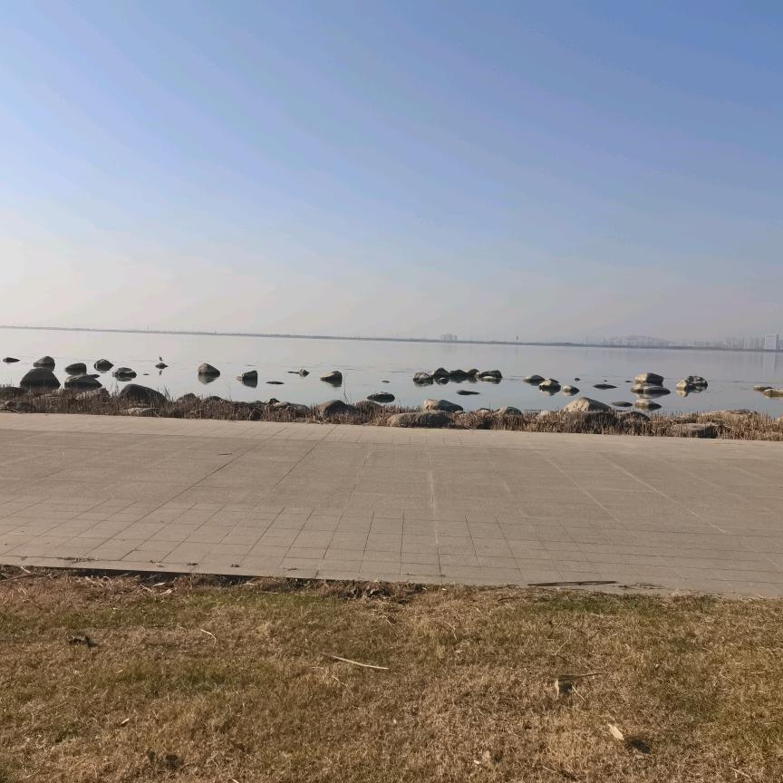 建立自我，追求无我