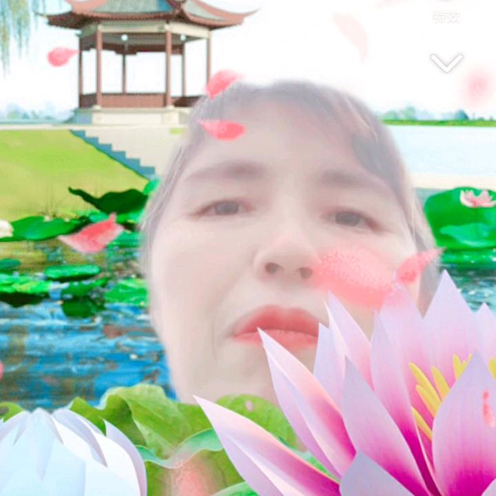 熊大姐