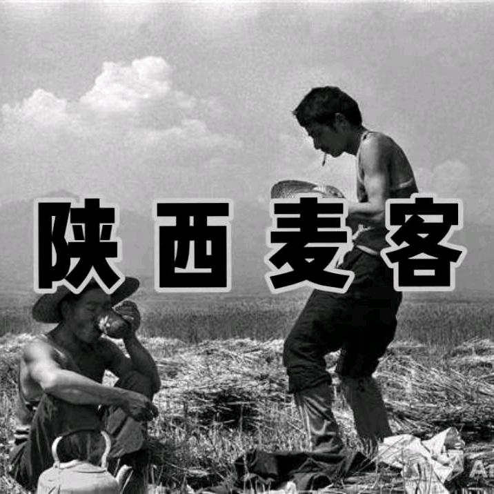 陕西麦客