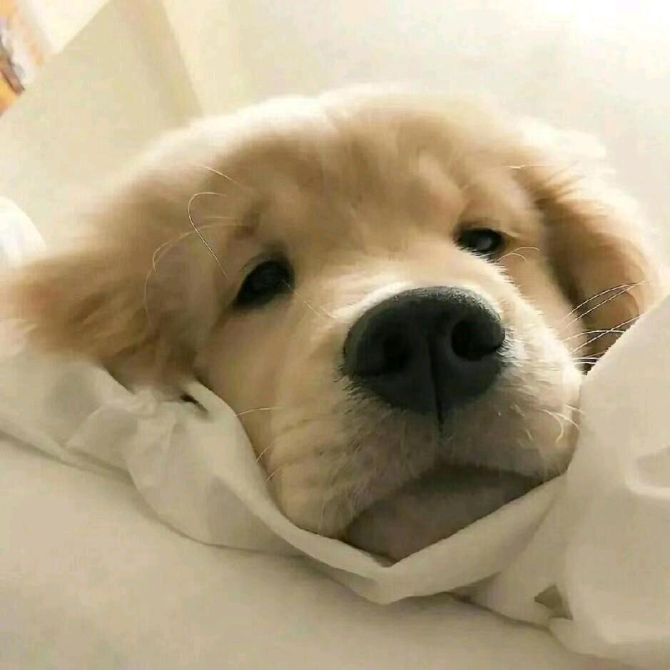 小王同学要睡觉