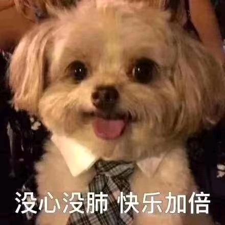 我的初吻给了香烟
