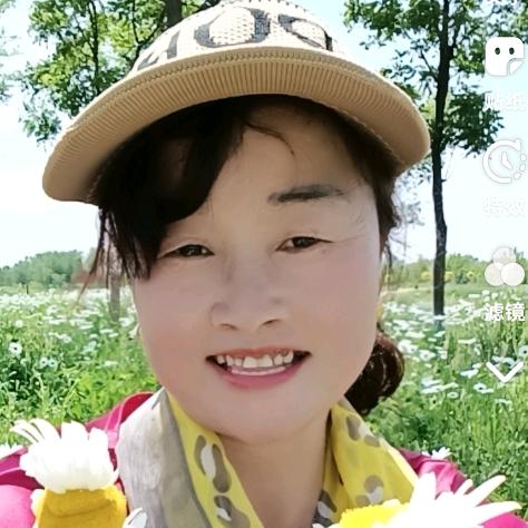 顺心顺意