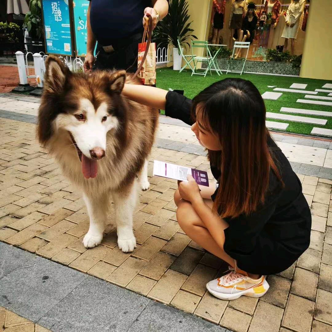 达小熊