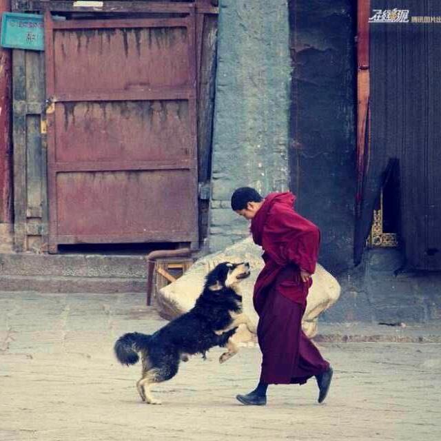 我是黑土