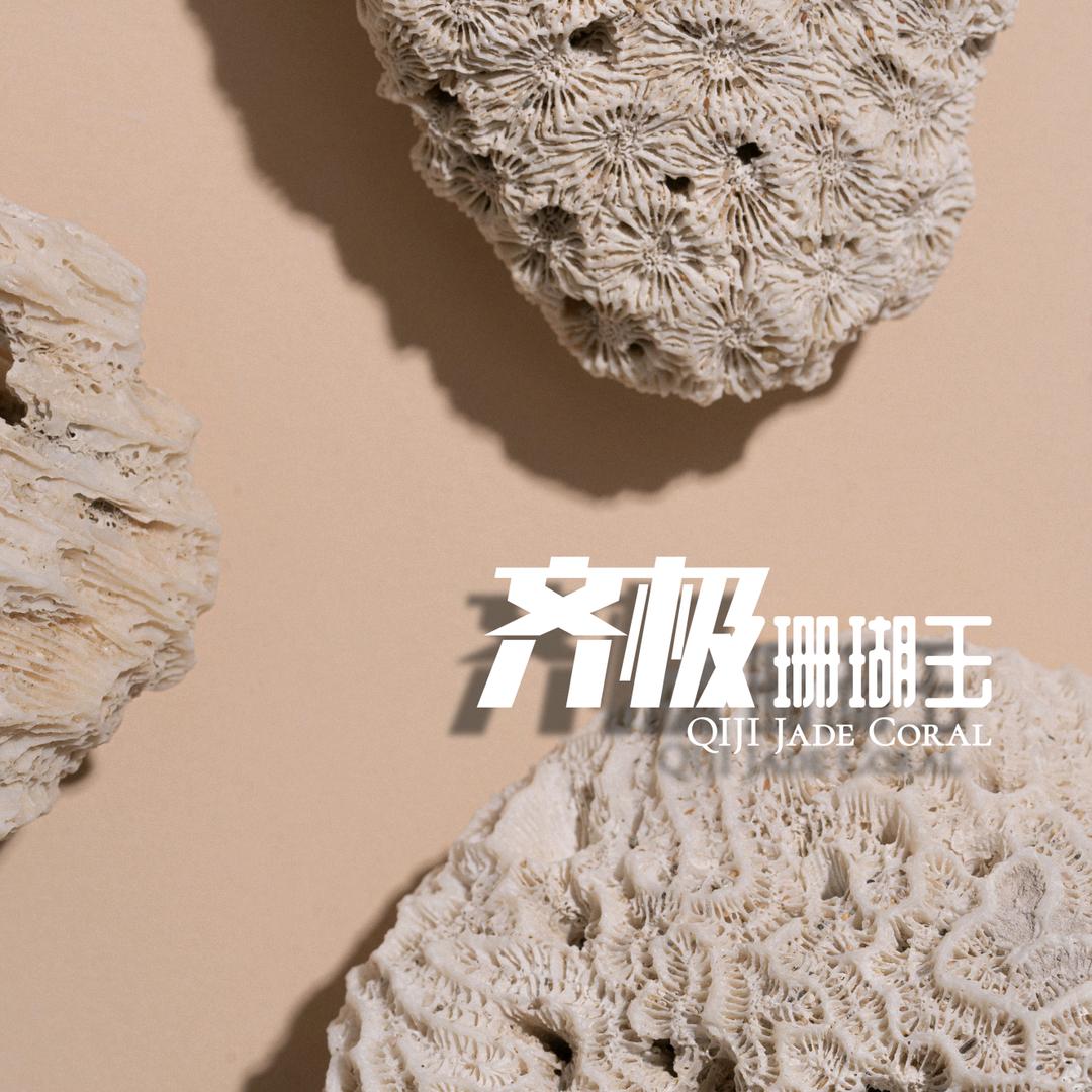 齐极珊瑚玉