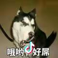 九亿少女的梦