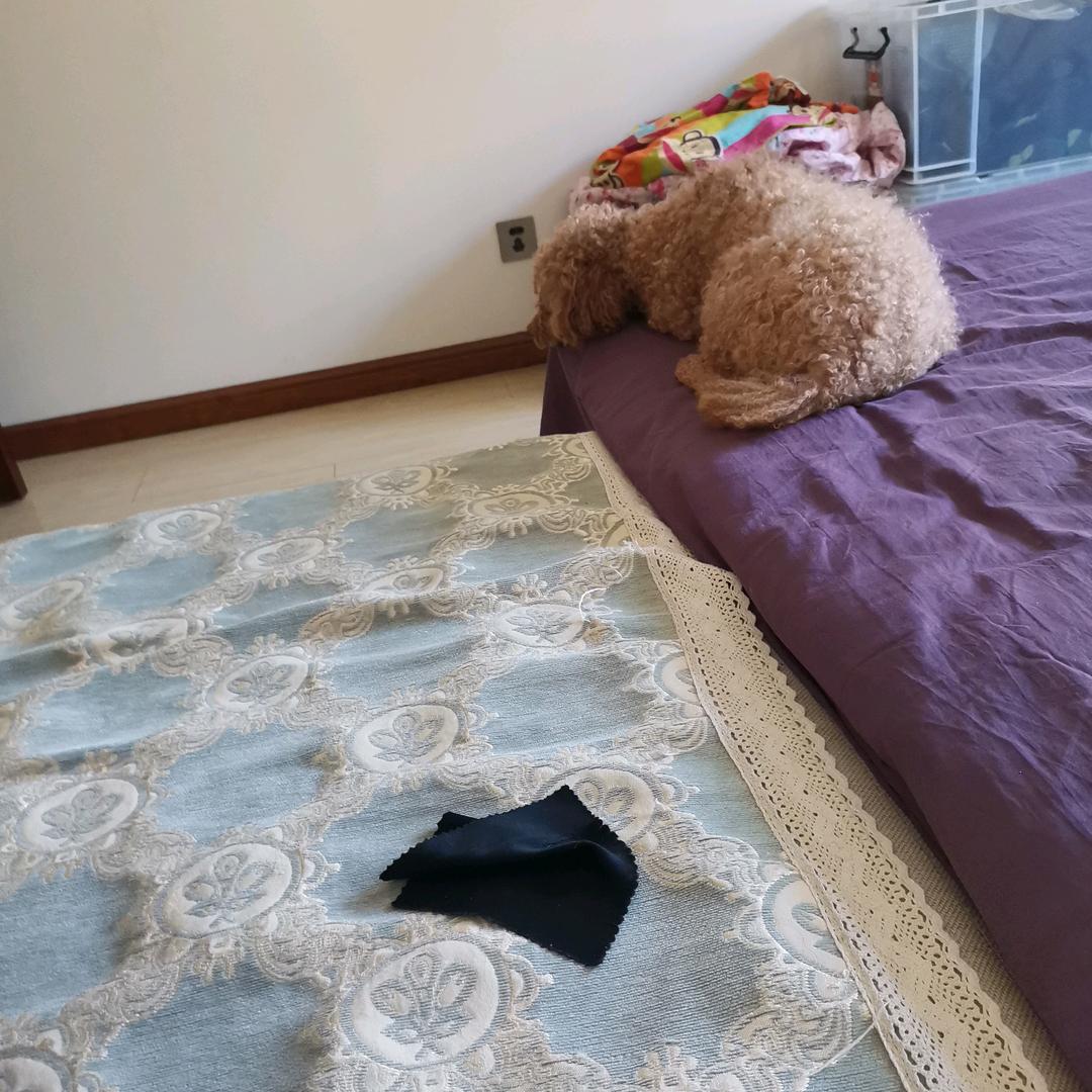 用户816684287538郑明艳