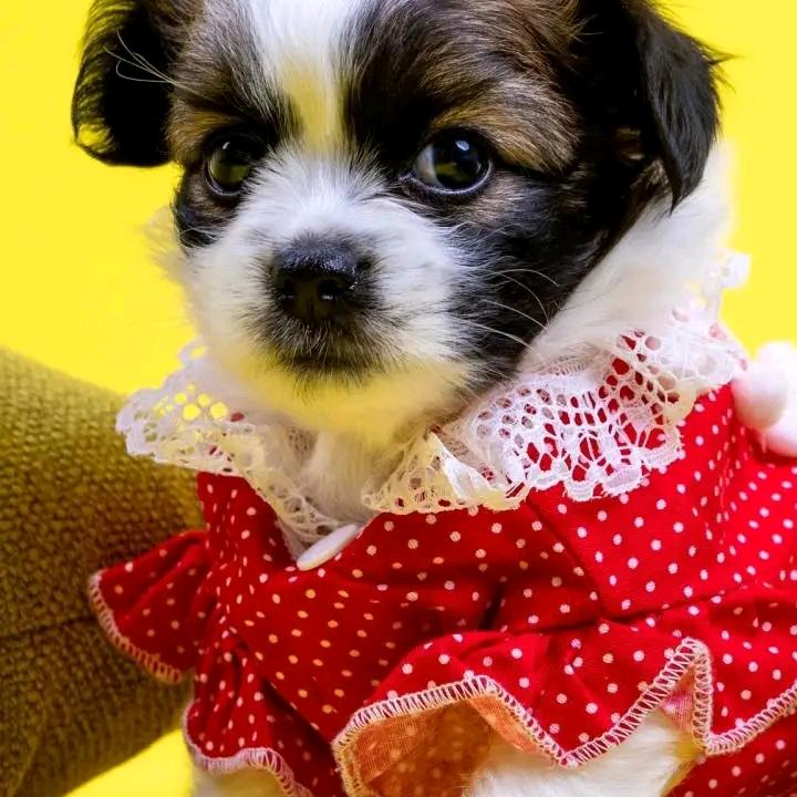 再苦再累从头开始