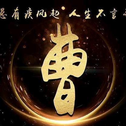 沧桑岁月静好（人无信不立)