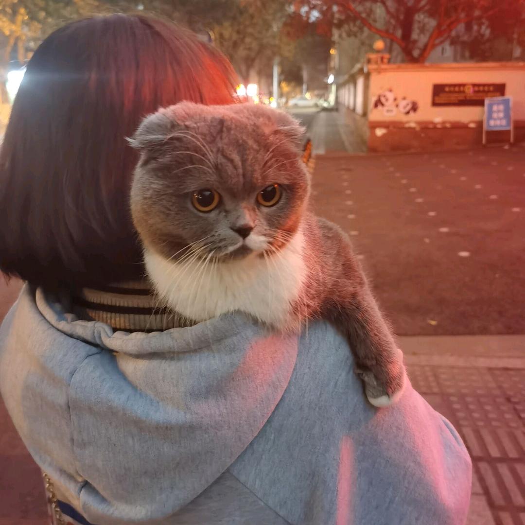 小仙女