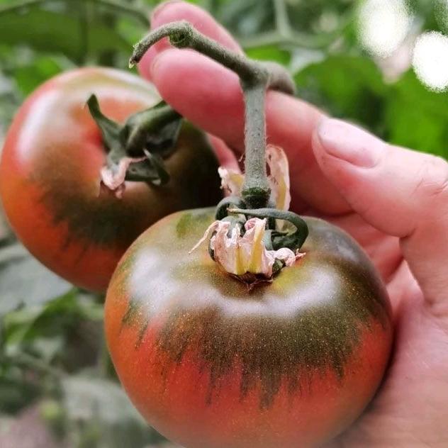 柿柿顺心精品店