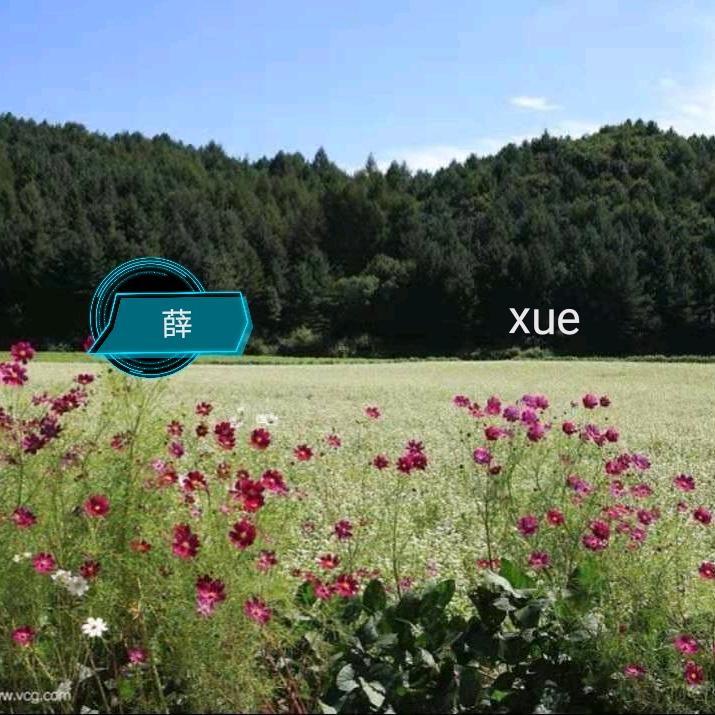 用户)雪舞灬倾城:999薛