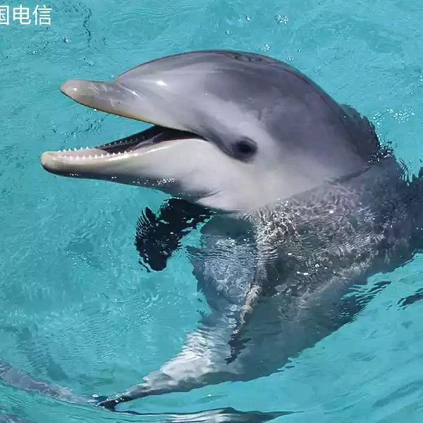 @重生为人！@王后余生！