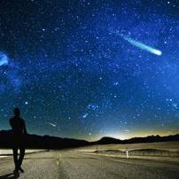 LOVE   星星知我心