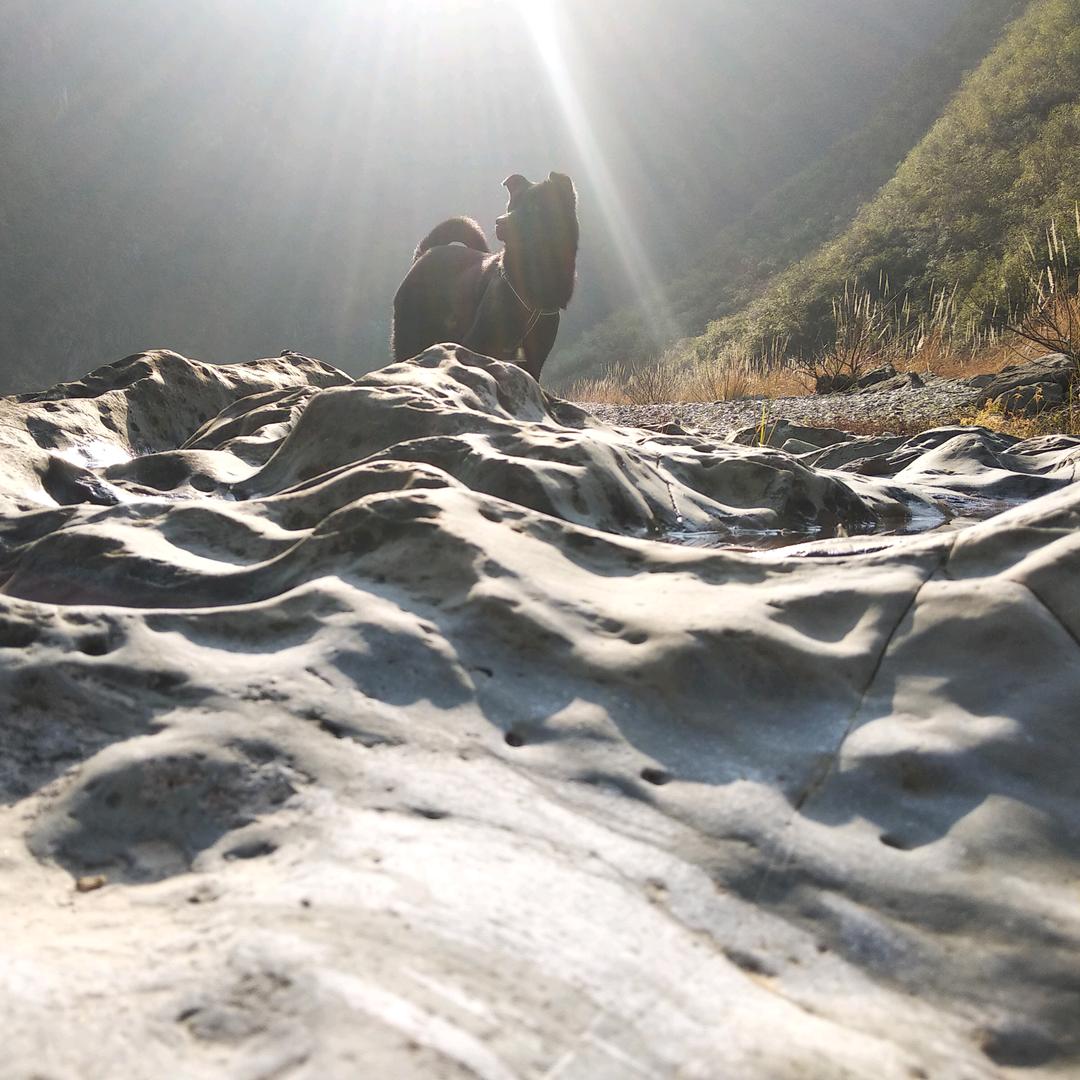 房县木工张广坤