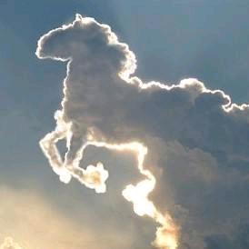 路过不一定是浮云