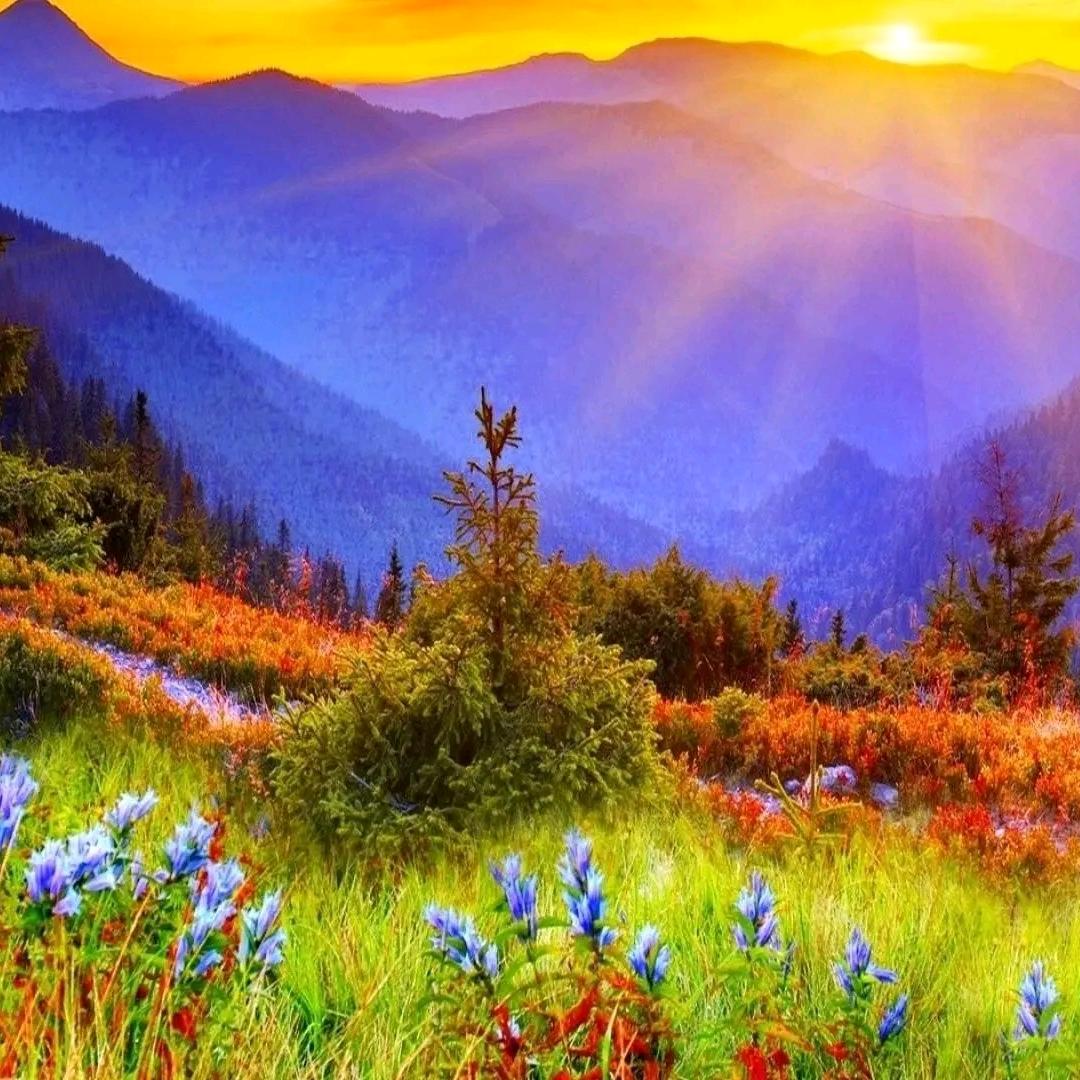 nature life