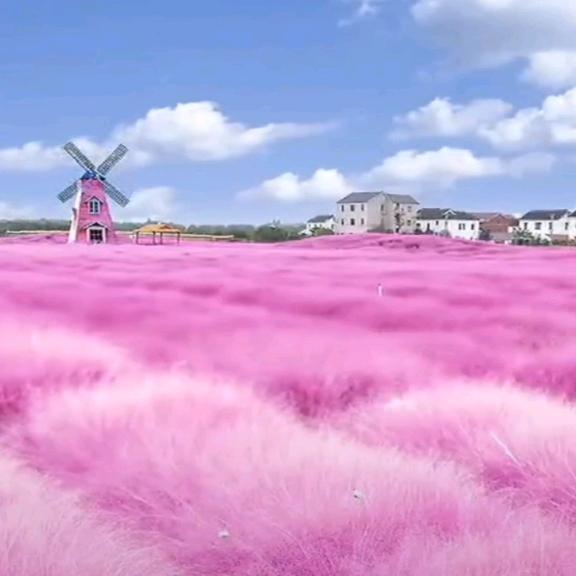 艳阳天色（1588）