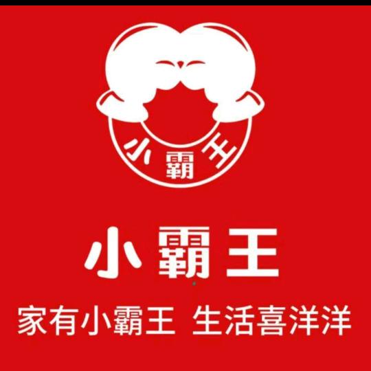 小霸王电器卓登明