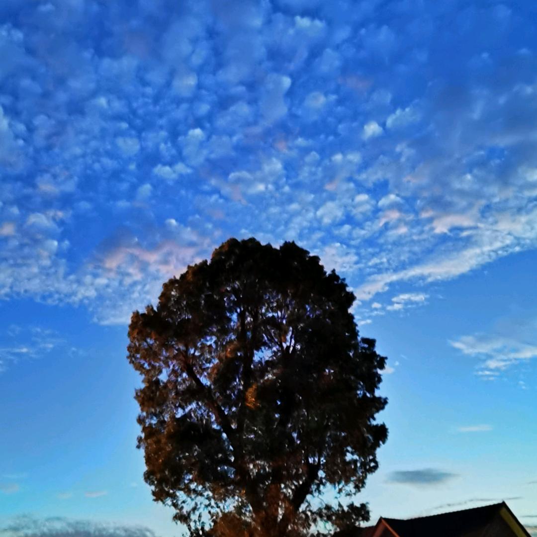 十堰不大，美女入画