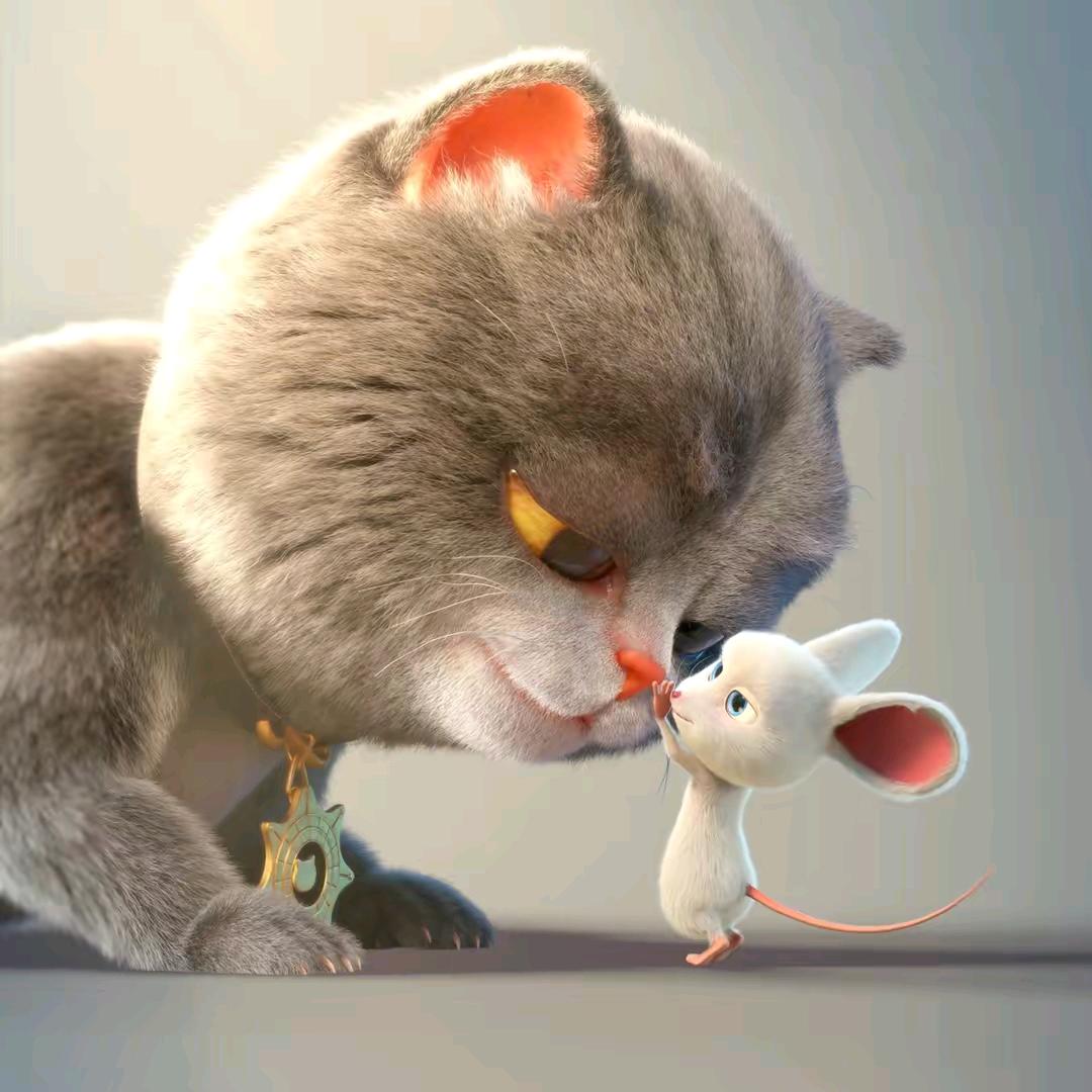 喝可乐的猫。