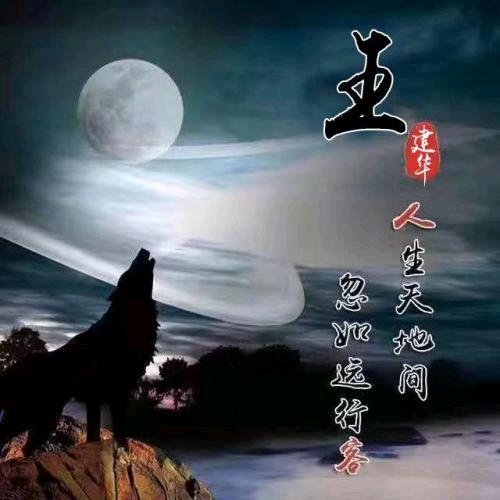 独行者不惧远方