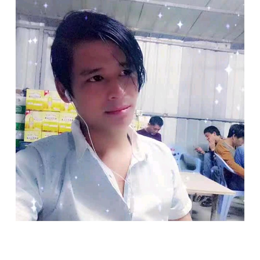 流浪灰灰