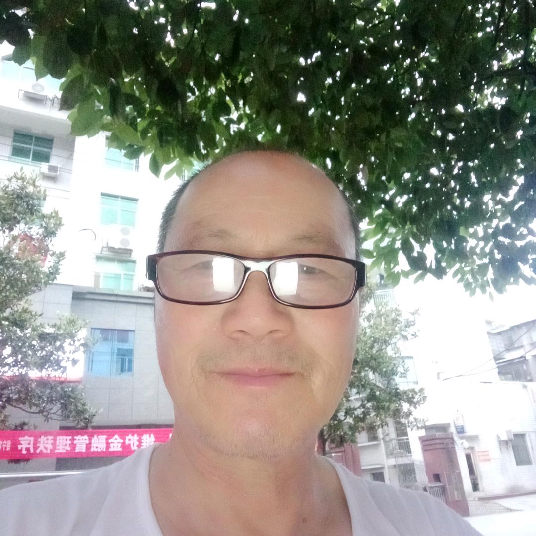 步森