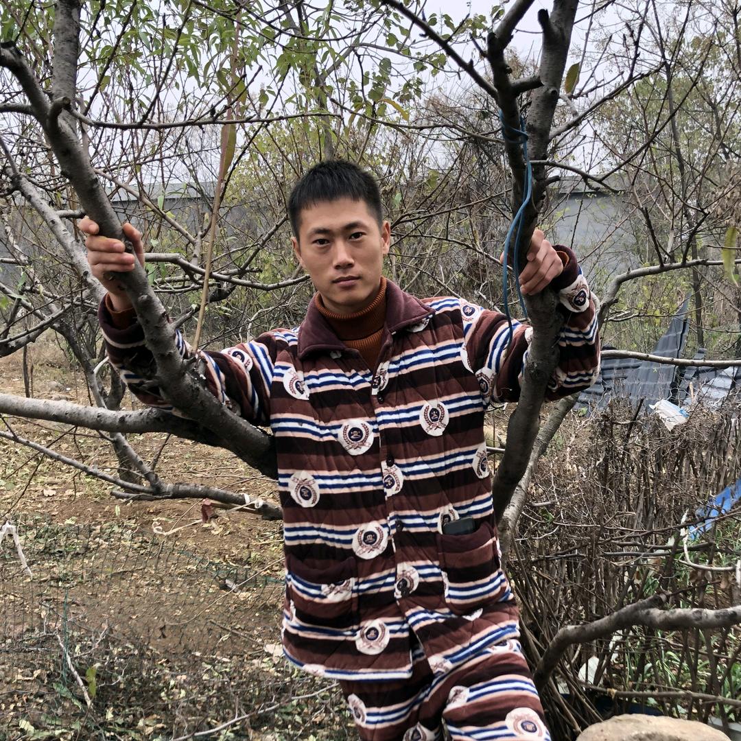 河南阿贤