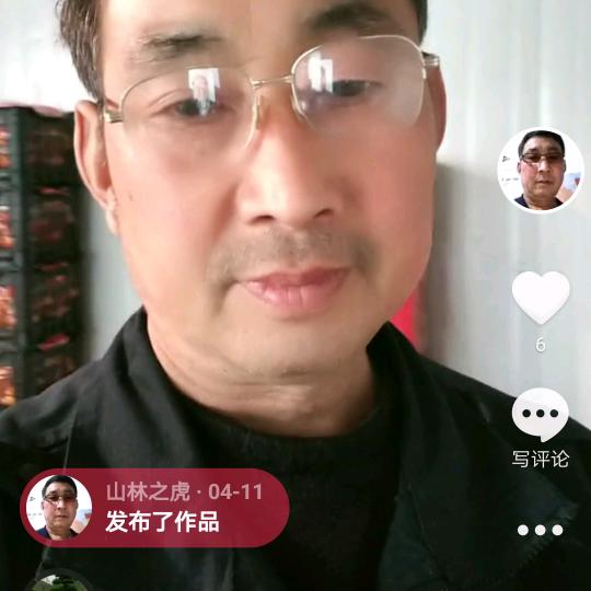 山林之虎