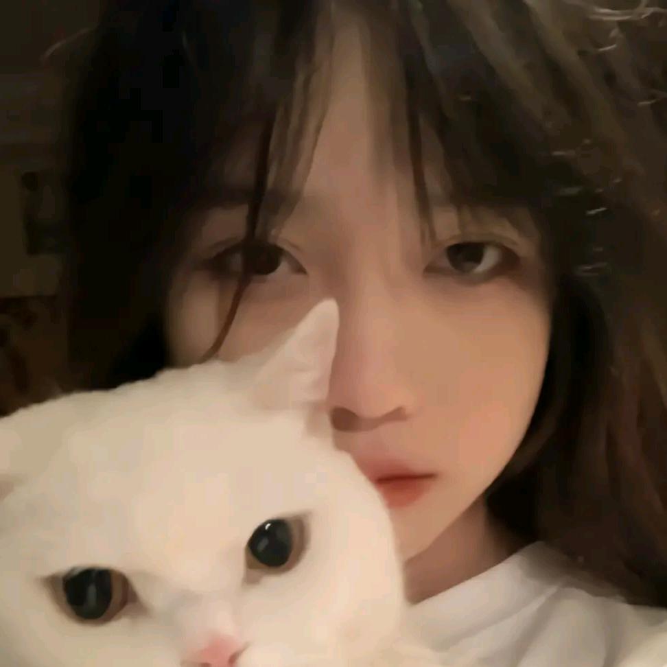 XIN～YU.