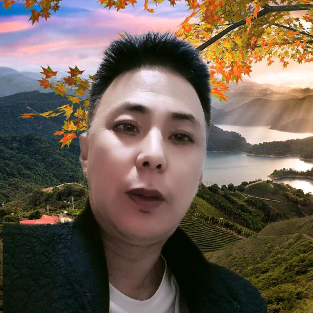 紫艳飞龙