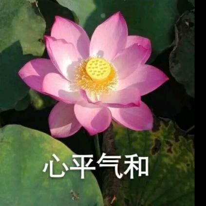 围观：一..：(｀・ω・´)一一。